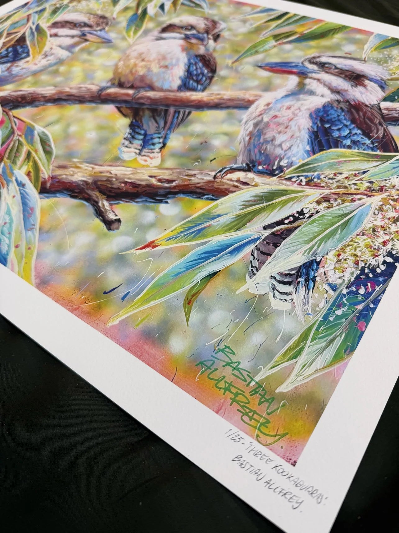 Three Kookaburras - Giclée Print