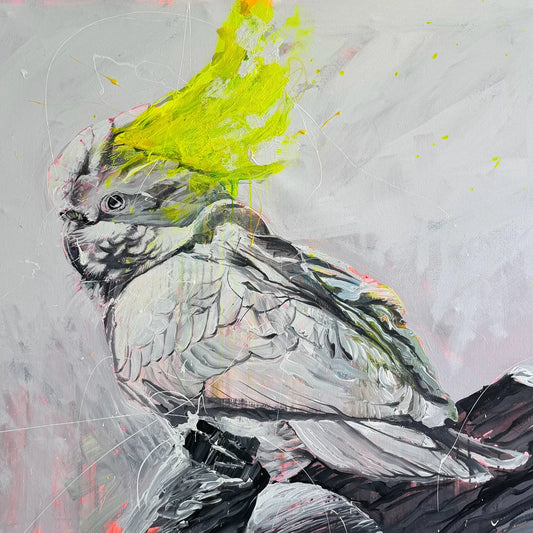 Yellow Cockatoo