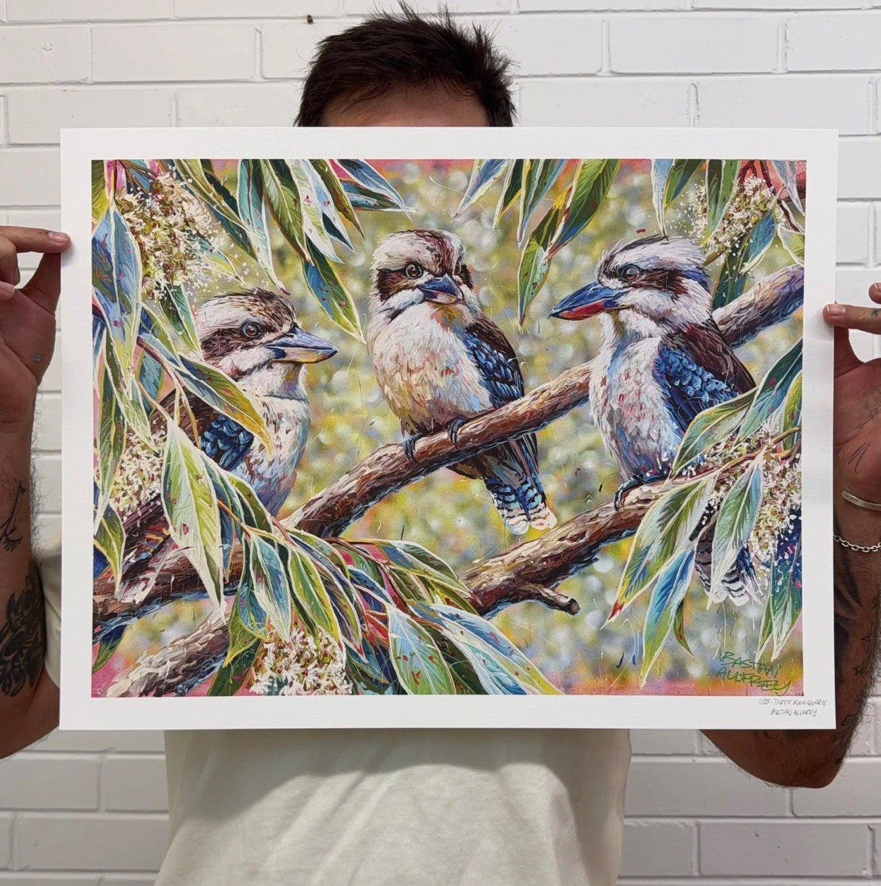 Three Kookaburras - Giclée Print