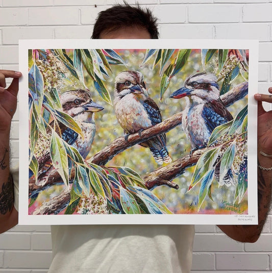 Three Kookaburras - Giclée Print