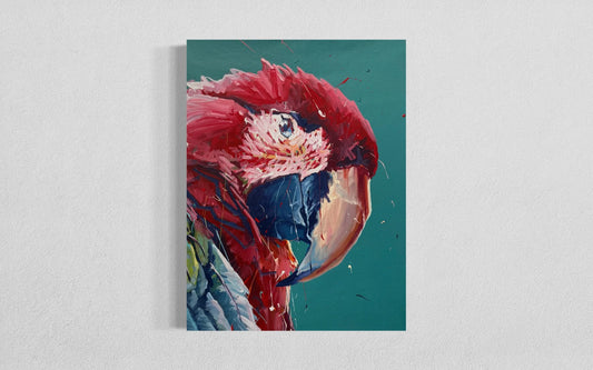 Red Macaw - Original Artwork