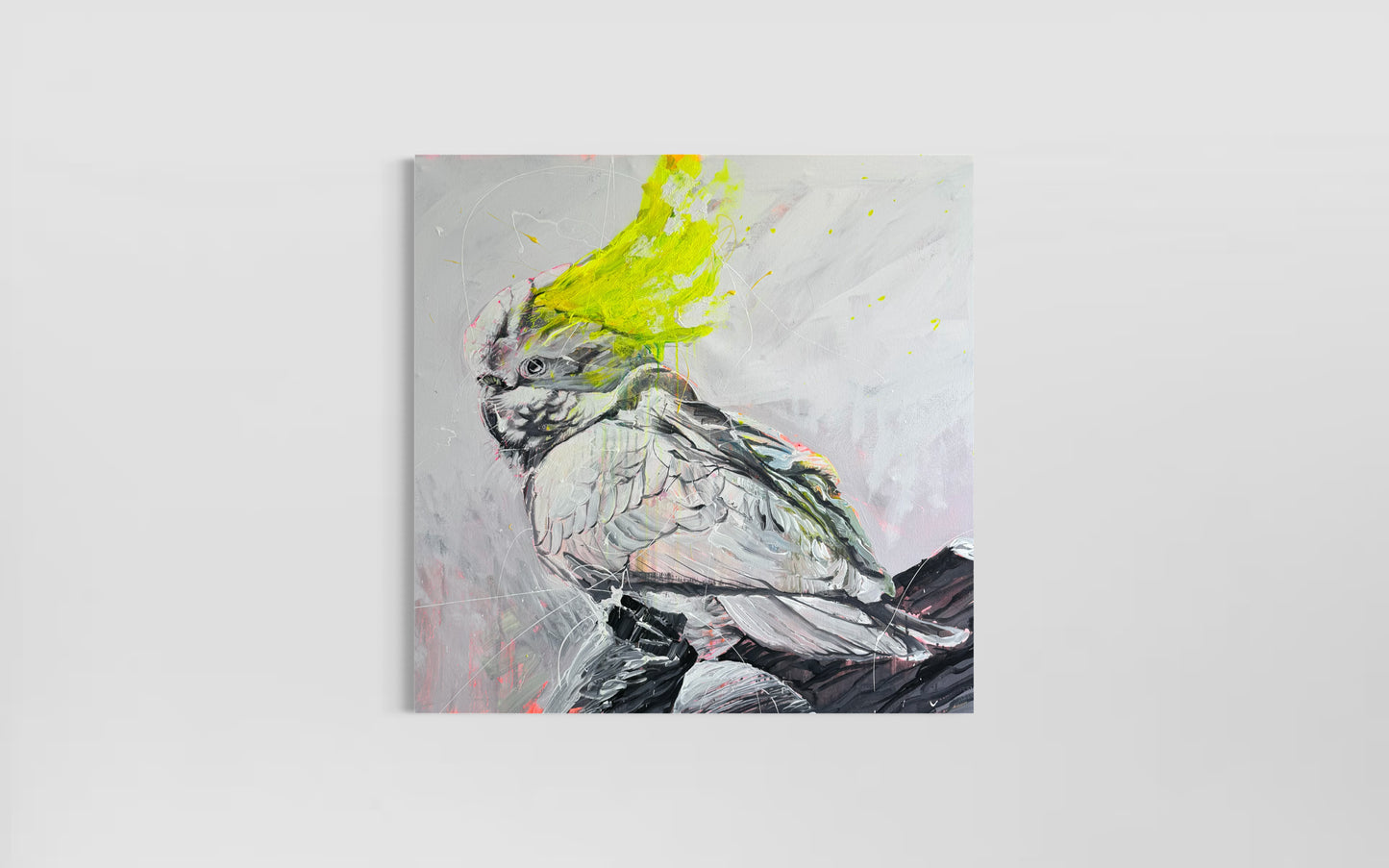 Yellow Cockatoo
